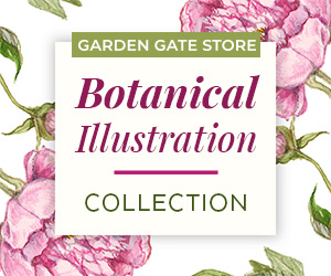GDT_Botanical Collection_300x250_022024