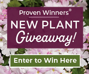 GDT_PW Plant Giveaway_300x250_022024