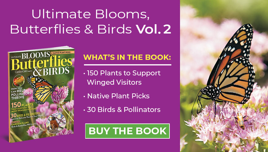 GDT_Ultimate Blooms Vol 2_865x490_butterfly