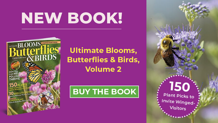 GDT_Ultimate Blooms Vol 2_865x490_bee